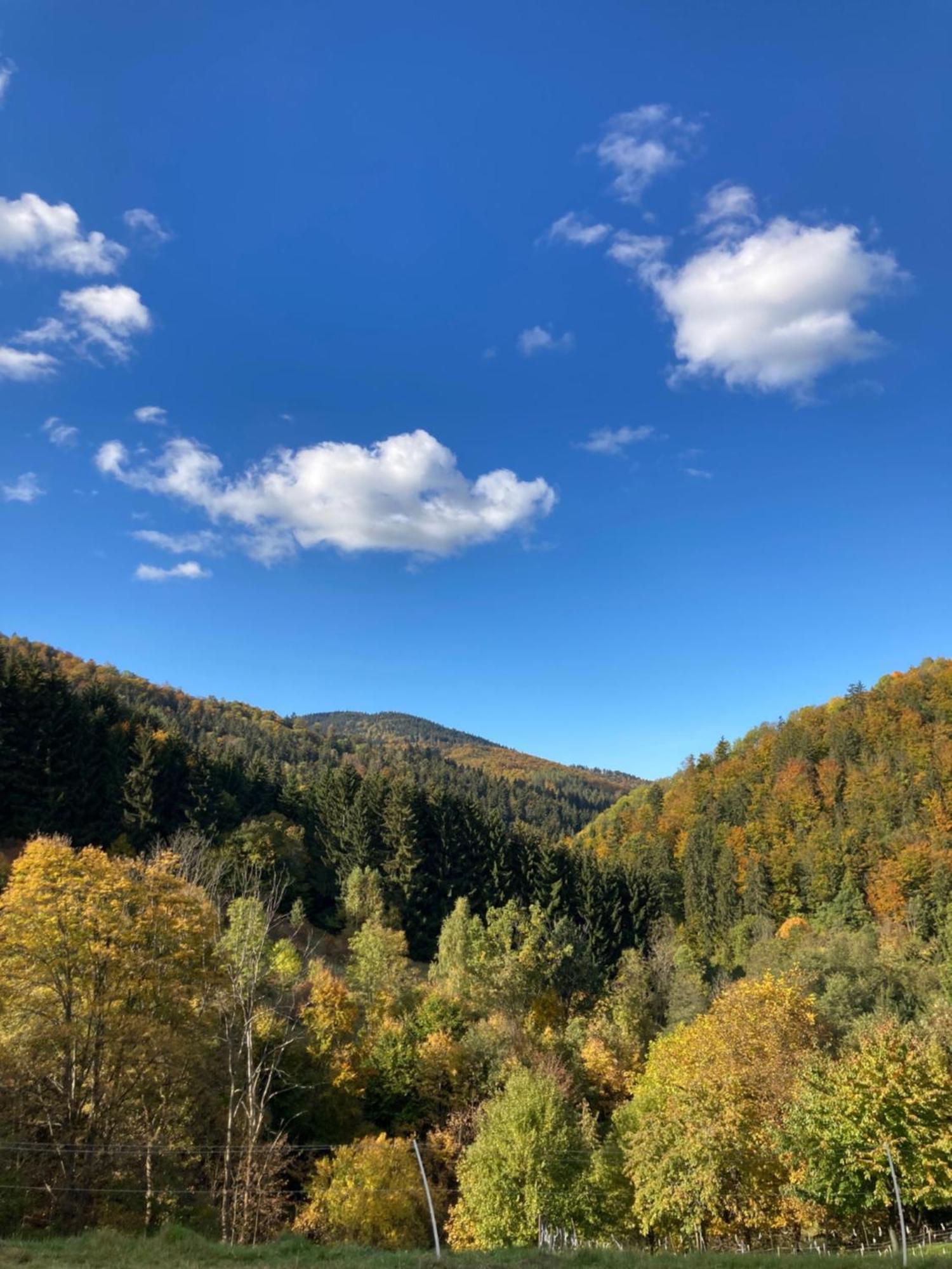 Roubenka *